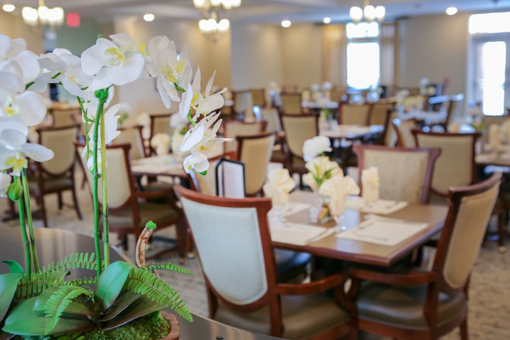 Assisted Living Facilities near you Services Activities and more