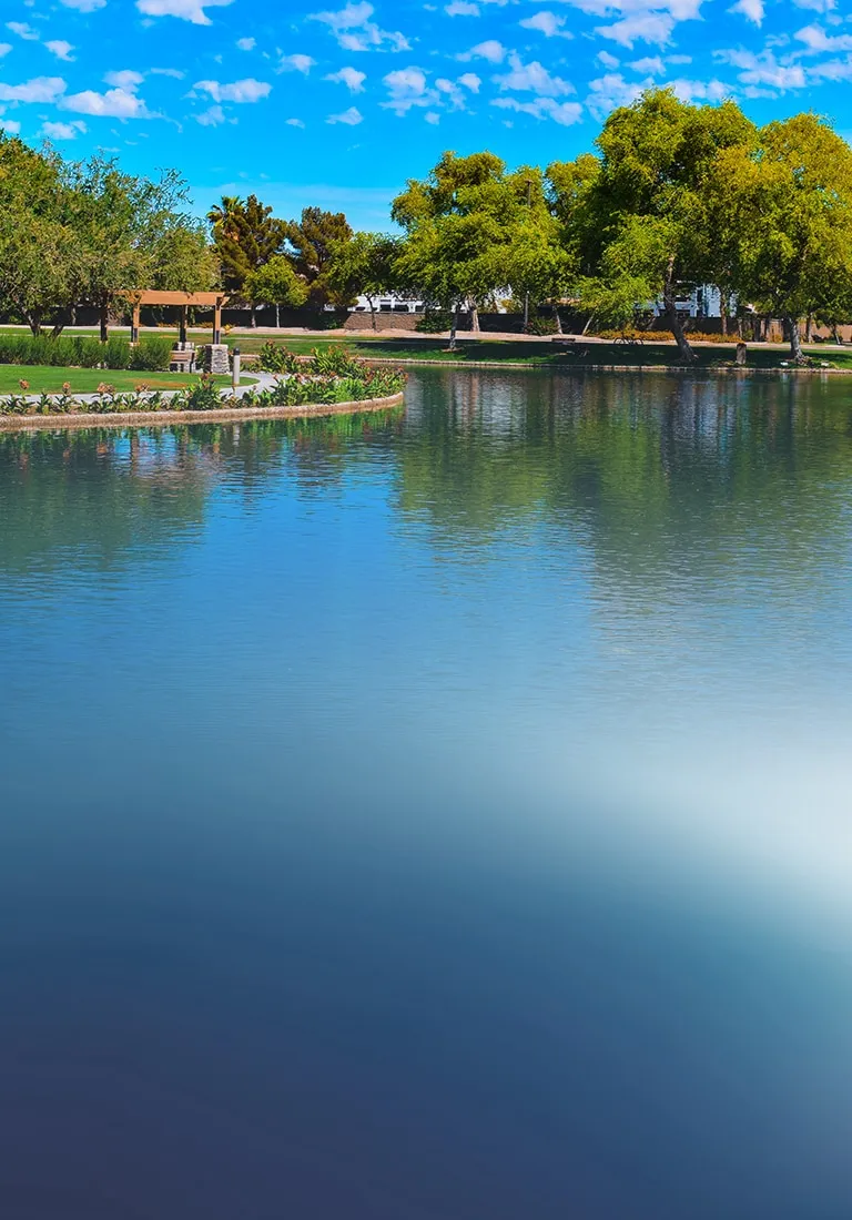 Clearwater At South Bay - Outdoor